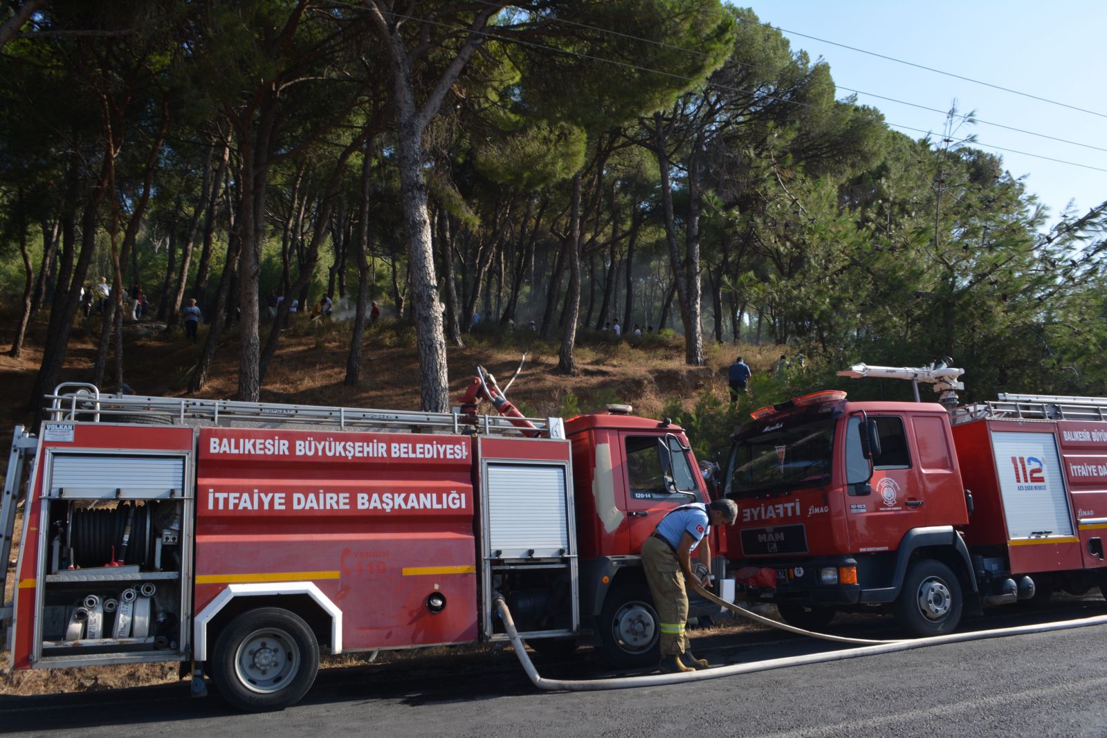 Ayvalık’ta çıkan orman yangınında vatandaşlar etten duvar ördü
